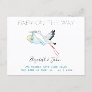 Cute Stork  Baby  Announcement Postcard