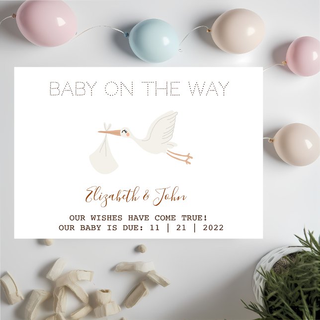Cute Stork Baby Shower Announcement (Creator Uploaded)