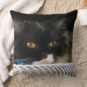 Cute Studding Cat Cushion