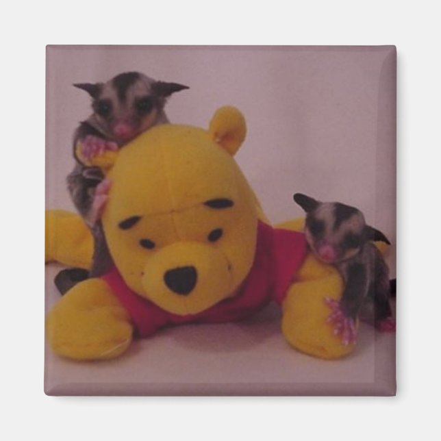 cute sugar glider joeys magnet (Front)