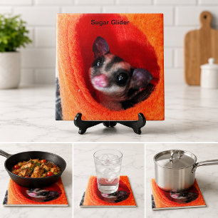 Cute Sugar Glider Orange Sleeping Pouch Pet Decor Tile