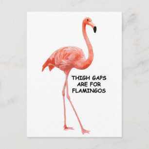 Cute Summer Inspirational Pink Flamingo Postcard