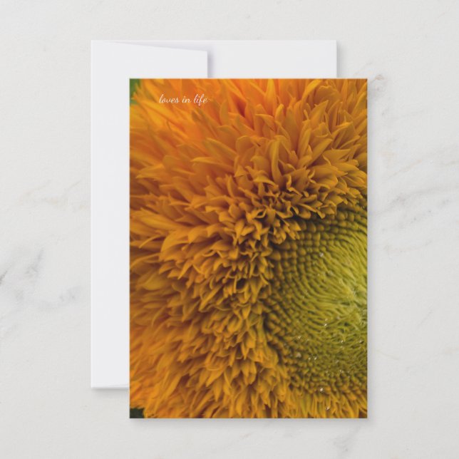 Cute Sunflower With Green Centre Card (Front)