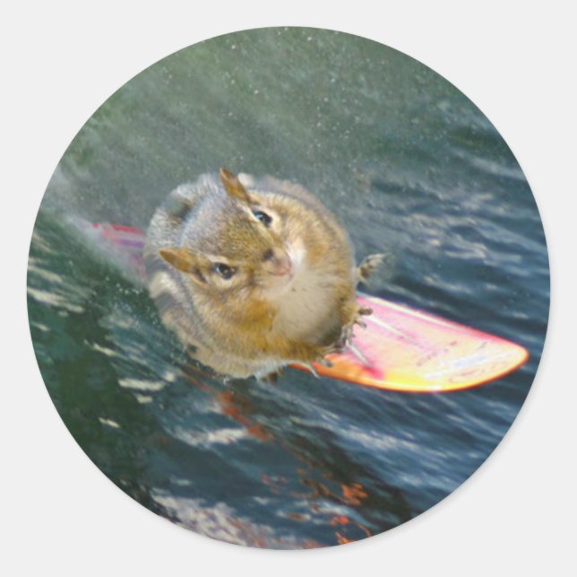 Cute Surfing Chipmunk Classic Round Sticker (Front)