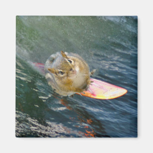 Cute Surfing Chipmunk Magnet