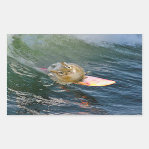 Cute Surfing Chipmunk Rectangular Sticker