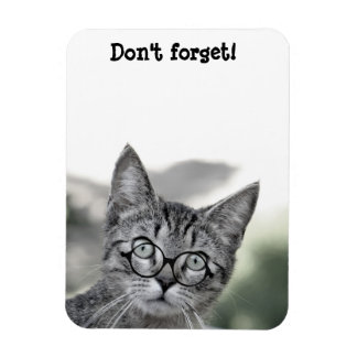 Cute Surprised Cat with Glasses Magnet
