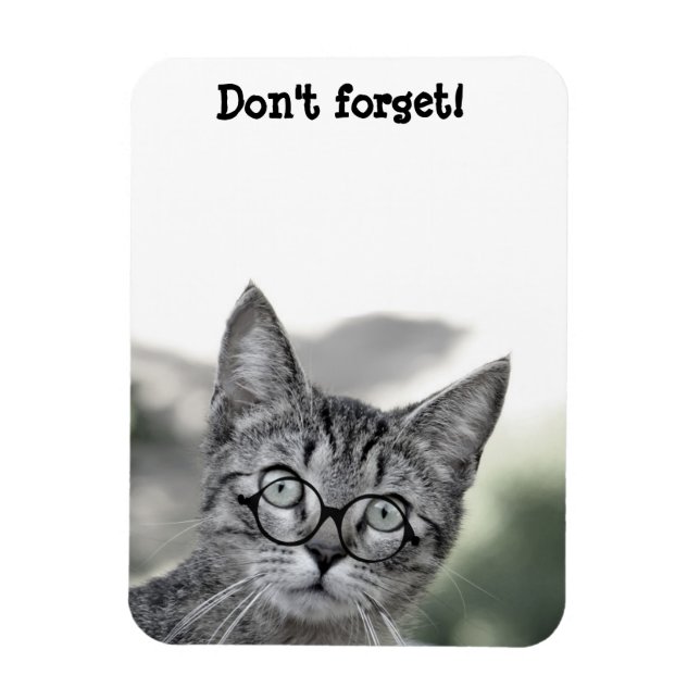 Cute Surprised Cat with Glasses Magnet (Vertical)
