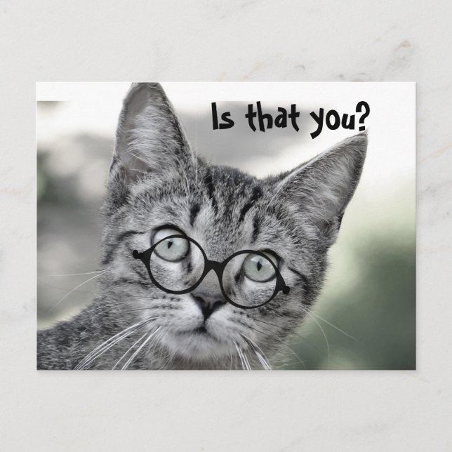 Cute Surprised Cat with Glasses Post Card (Front)