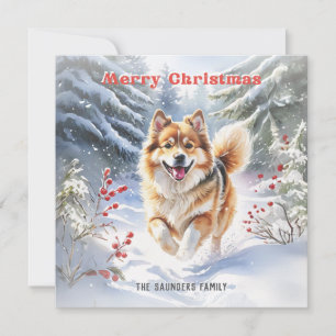 Cute Swedish Lapphund Dog Snow Merry Christmas Holiday Card