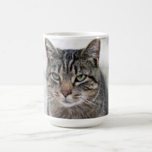 Cute , sweet, adorable,  cat  Mug