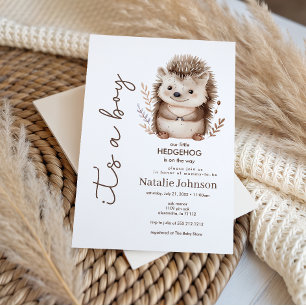 Cute Sweet Little Hedgehog Its A Boy Baby Shower Invitation