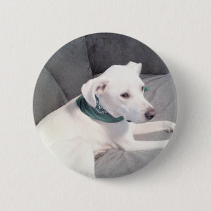 Cute Sweet Puppy Dog Wearing Green Scarf Grey 6 Cm Round Badge