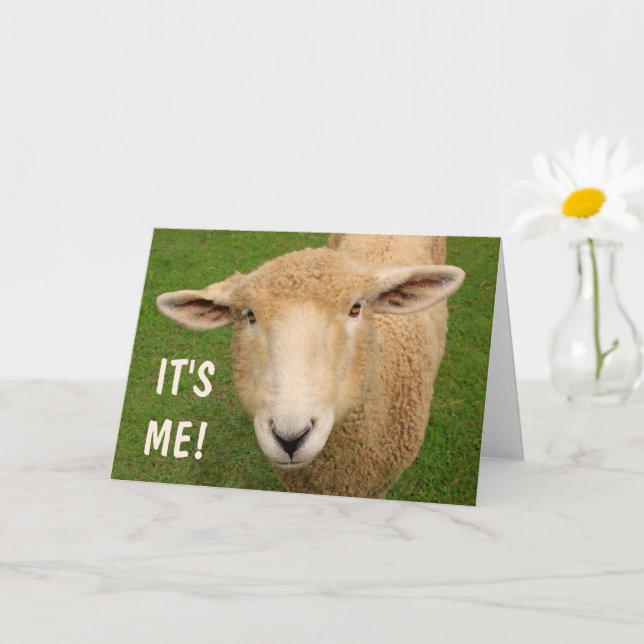 Cute Sweet Sheep Birthday Card (Small Plant)