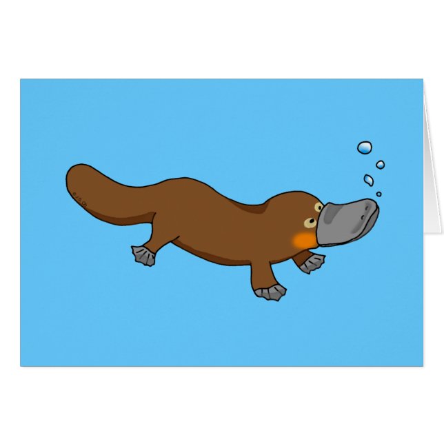 Cute swimming duck-billed platypus (Front Horizontal)