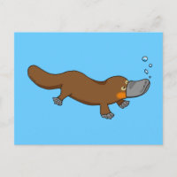 Cute swimming duck-billed platypus