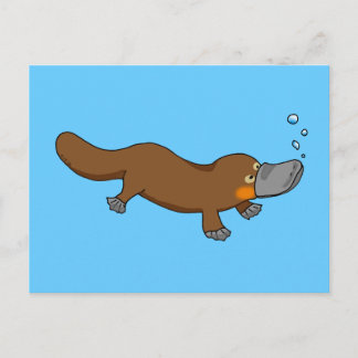 Cute swimming duck-billed platypus postcard