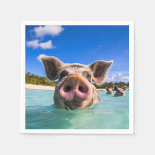 Cute Swimming Pig Exuma Bahamas Napkin