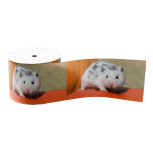 Cute Syrian Hamster White Black Spotted Funny Pet Grosgrain Ribbon