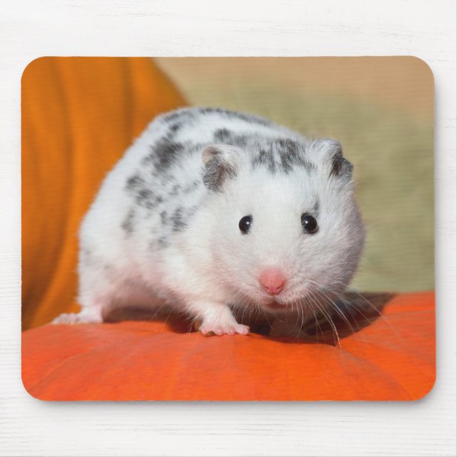 Cute Syrian Hamster White Black Spotted Funny Pet Mouse Pad (Front)