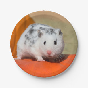 Cute Syrian Hamster White Black Spotted Funny Pet Paper Plate
