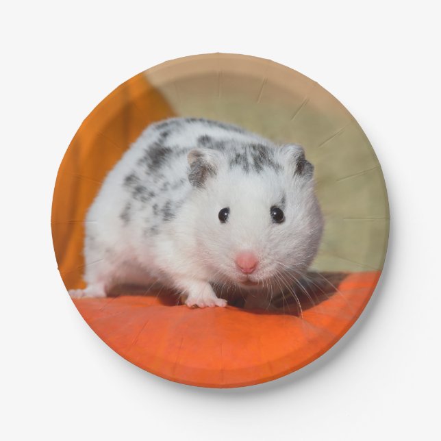 Cute Syrian Hamster White Black Spotted Funny Pet Paper Plate (Front)