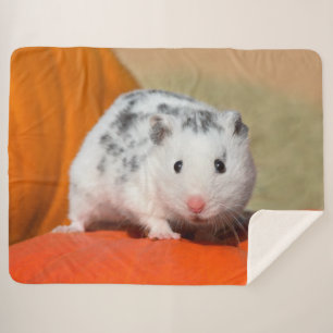Cute Syrian Hamster White Black Spotted Funny Pet Sherpa Blanket