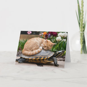 Cute Tabby and Turtle Greeting Card