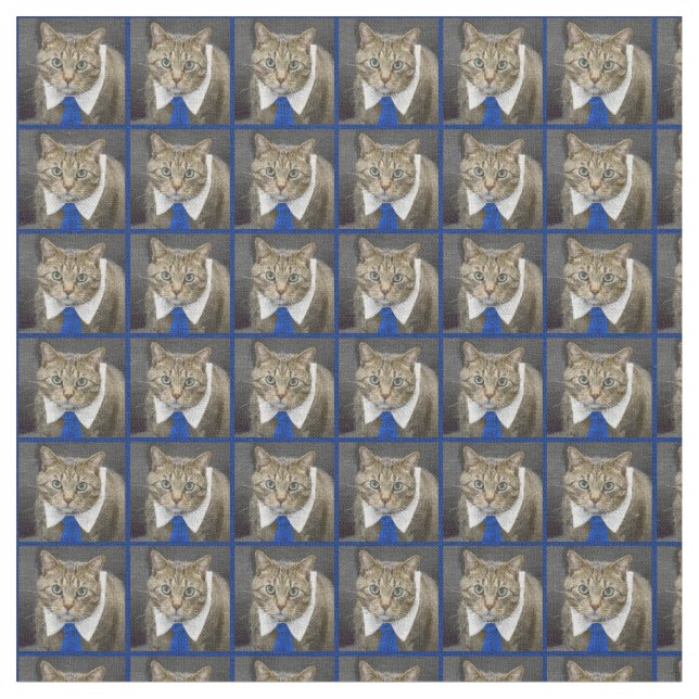 Cute Tabby Cat Brown Wearing Blue Tie Fabric (Close Up)