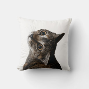 Cute Tabby Cat Close Up Photo Cushion
