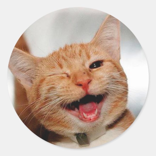 Cute tabby cat crying with one eye classic round sticker (Front)