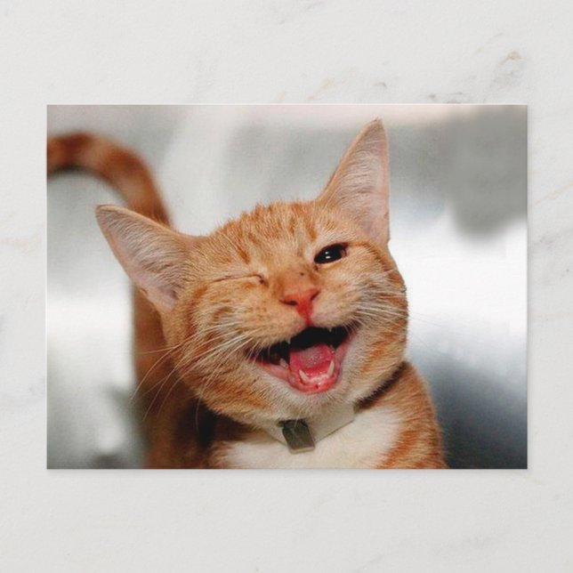 Cute tabby cat crying with one eye postcard (Front)