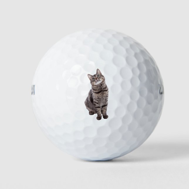 Cute Tabby Cat Golf Balls (Front)