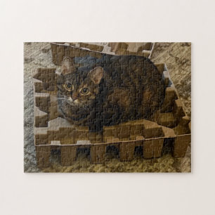 Cute Tabby Cat in Vacuum Insert Box Puzzle