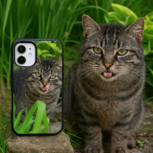 Cute Tabby Cat Kiss iPhone 16 Case