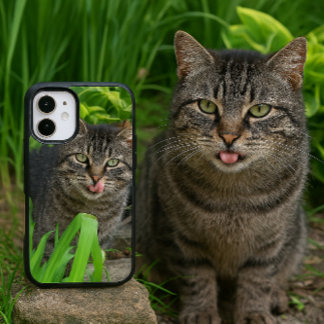 Cute Tabby Cat Kiss iPhone 16 Case