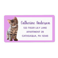 Cute Tabby Cat Kitten Lavender Large