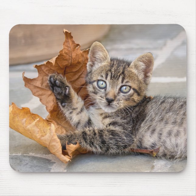 Cute Tabby Cat Kitten Playing With a Leaf Mouse Pad (Front)