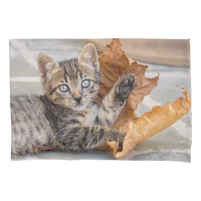 Cute Tabby Cat Kitten Playing With a Leaf - Pillowcase (Front)