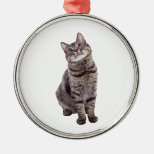 Cute Tabby Cat Metal Ornament