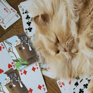 Cute Tabby Cat Napping Birdhouse Funny Playing Cards