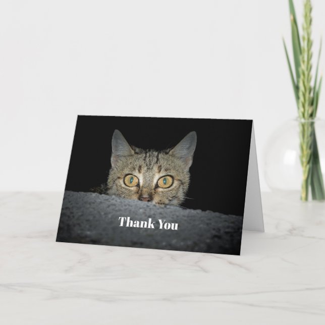 Cute Tabby Cat Peeking Photo Thank You Card (Front)