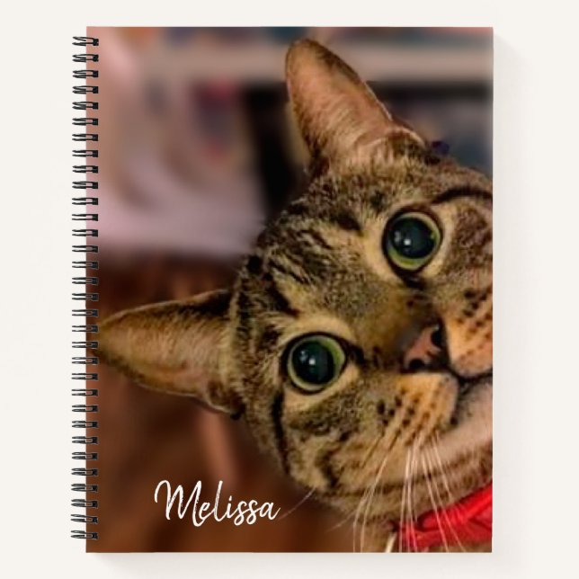 Cute Tabby Cat Personalised Notebook (Front)
