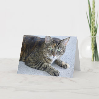 Cute Tabby Cat Photo Card