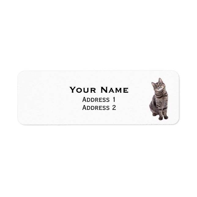 Cute Tabby Cat Return Address Label (Front)