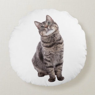 Cute Tabby Cat Round Cushion