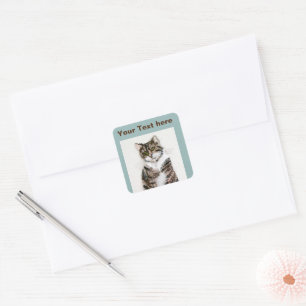 Cute Tabby Cat Square Sticker