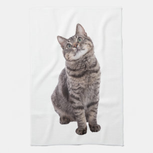Cute Tabby Cat Tea Towel