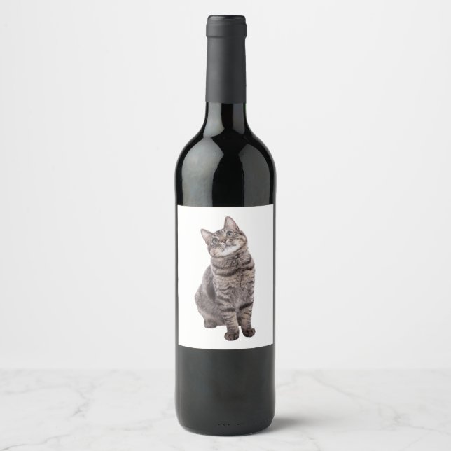 Cute Tabby Cat Wine Label (Front)
