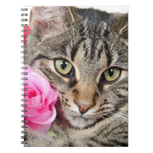 Cute Tabby Cat With Rose Notebook